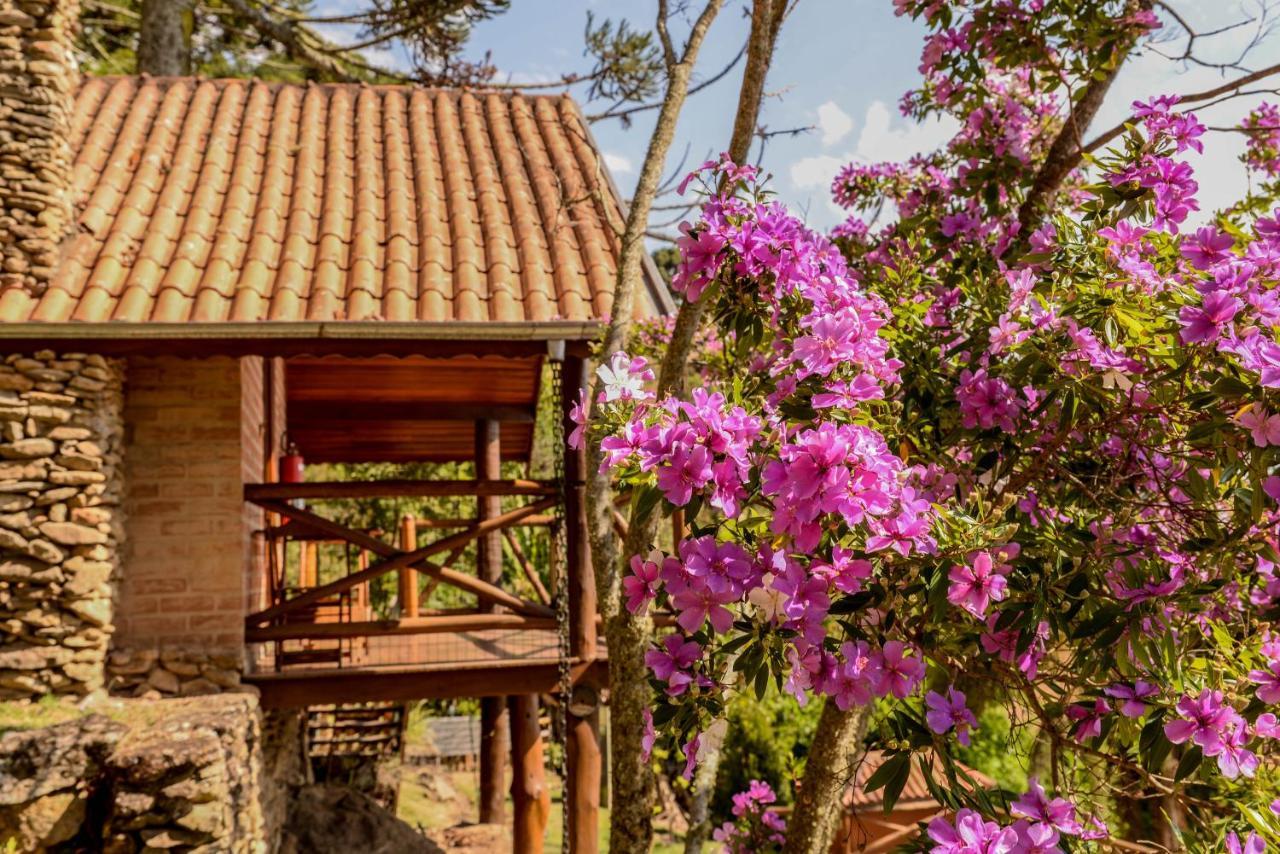 Chalés Araucária e Manacá São Bento do Sapucaí Kültér fotó